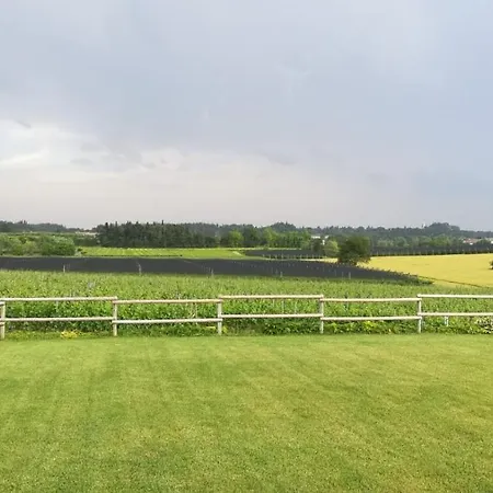 Le Ginestre * ラツィーゼ